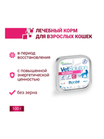 Ветеринарная диета Monge VetSolution Cat Recovery (Монж Рекавери) для кошек 12 баночек по 100гр.