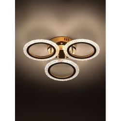 Светильник потолочный светодиодный Rivoli Evlalia 6178-703 LED 42Вт 3000-6000К с пультом | Интерьерные светодиодные светильники