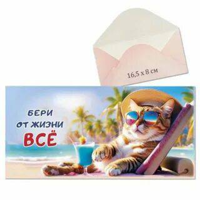 Конверт д/денег ПГС 16,5*8см Бери от жизни все! *10