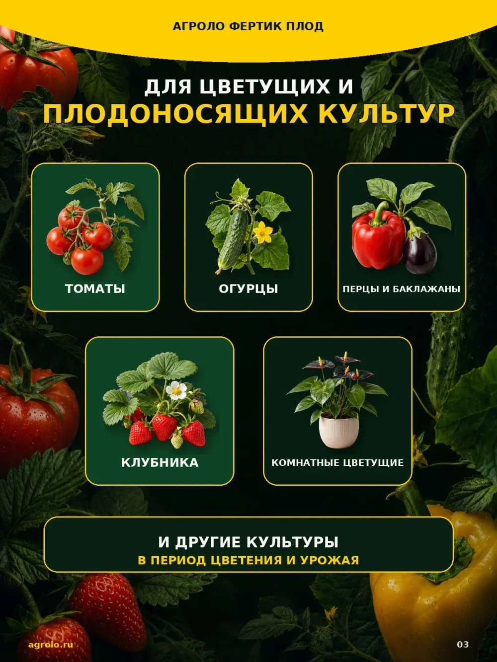 Питательный раствор АГРОЛО Фертик Плод A+B для цветения и плодоношения