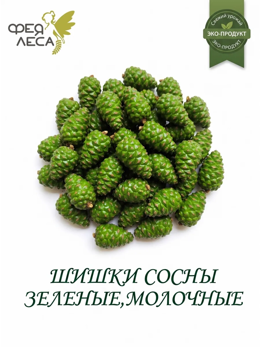 Шишки сосны зеленые для варенья цукатов и заморозки