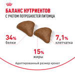 Royal Canin Hairball Care Хэйрболл Кэа Корм сухой для взрослых кошек профилактика образования волосяных комочков 10кг