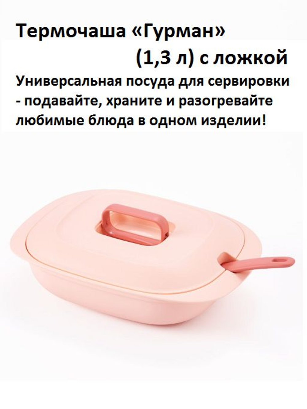 Термочаша Гурман (1,3 л/2 л) с ложкой