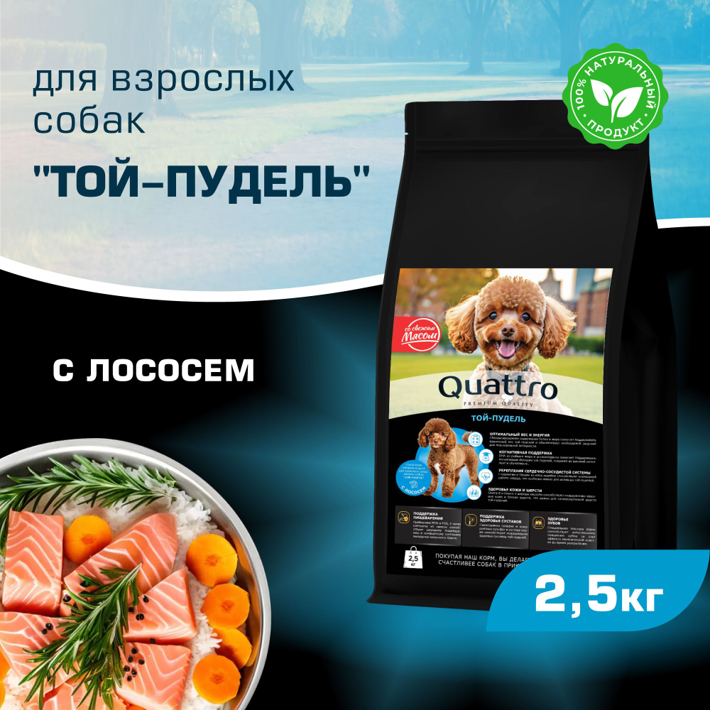 Корм сухой для взрослых собак породы Той-пудель, с лососем, 2,5 кг, QUATTRO