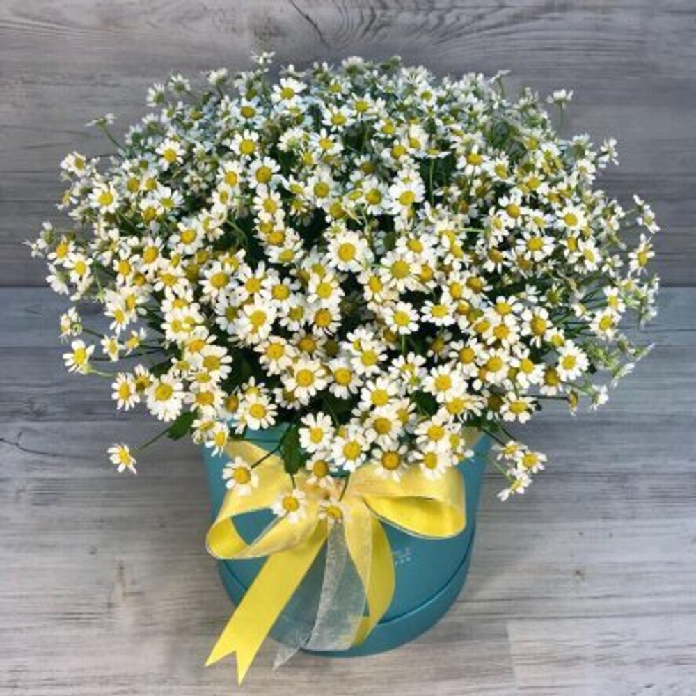Шляпная коробка из 25 веточек ромашек