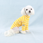 588 Водолазка в полоску "Stripes T-Shirt Puppy Angel"