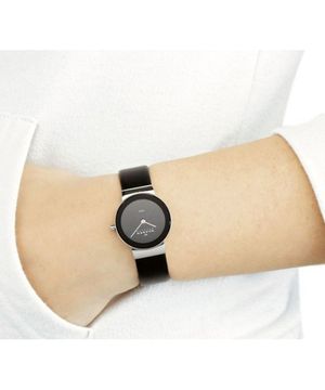 Наручные часы Skagen 358SSLB