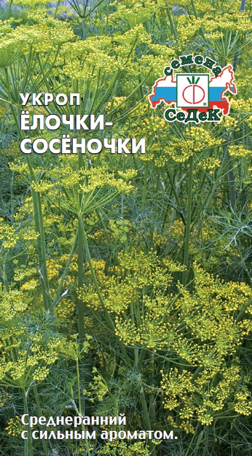 д