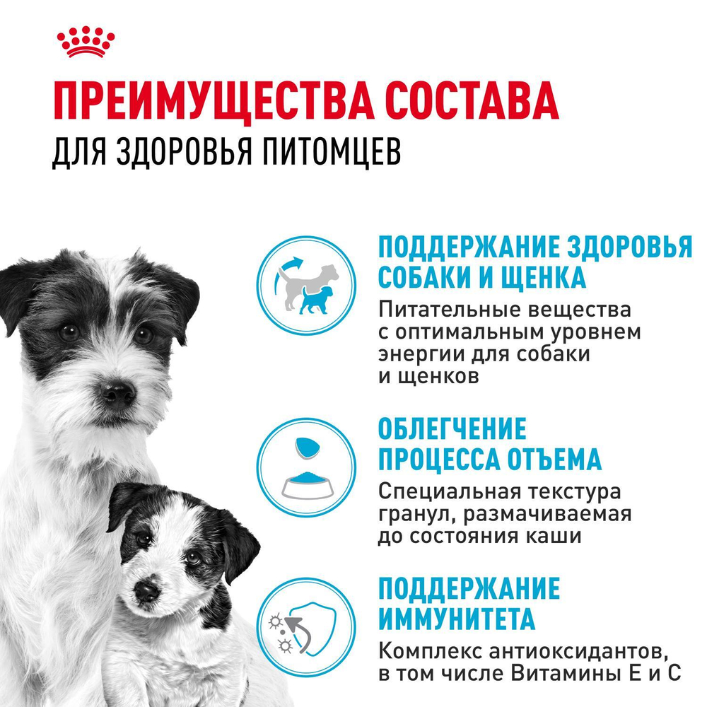 Royal Canin Mini Starter Мини Стартер Корм сухой для собак мелких пород в конце беременности в период лактации для щенков до 2-х месяцев 1кг
