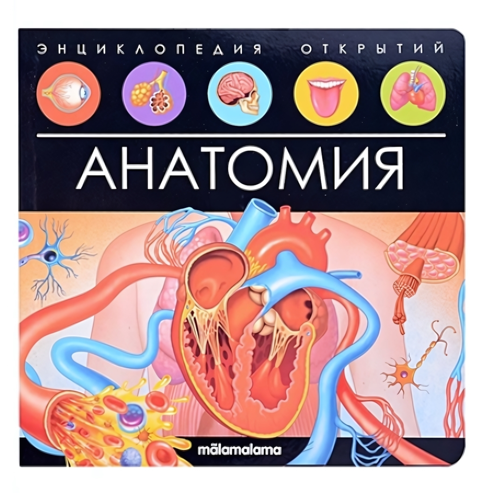 Энциклопедия открытий "Анатомия" (Malamalama)