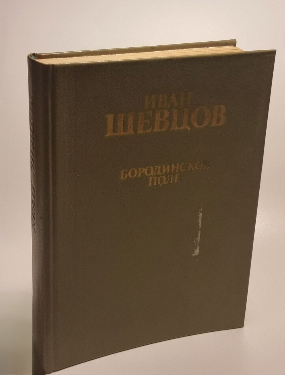 Бородинское поле. Шевцов Иван Михайлович