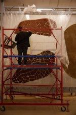 Ковер Nature