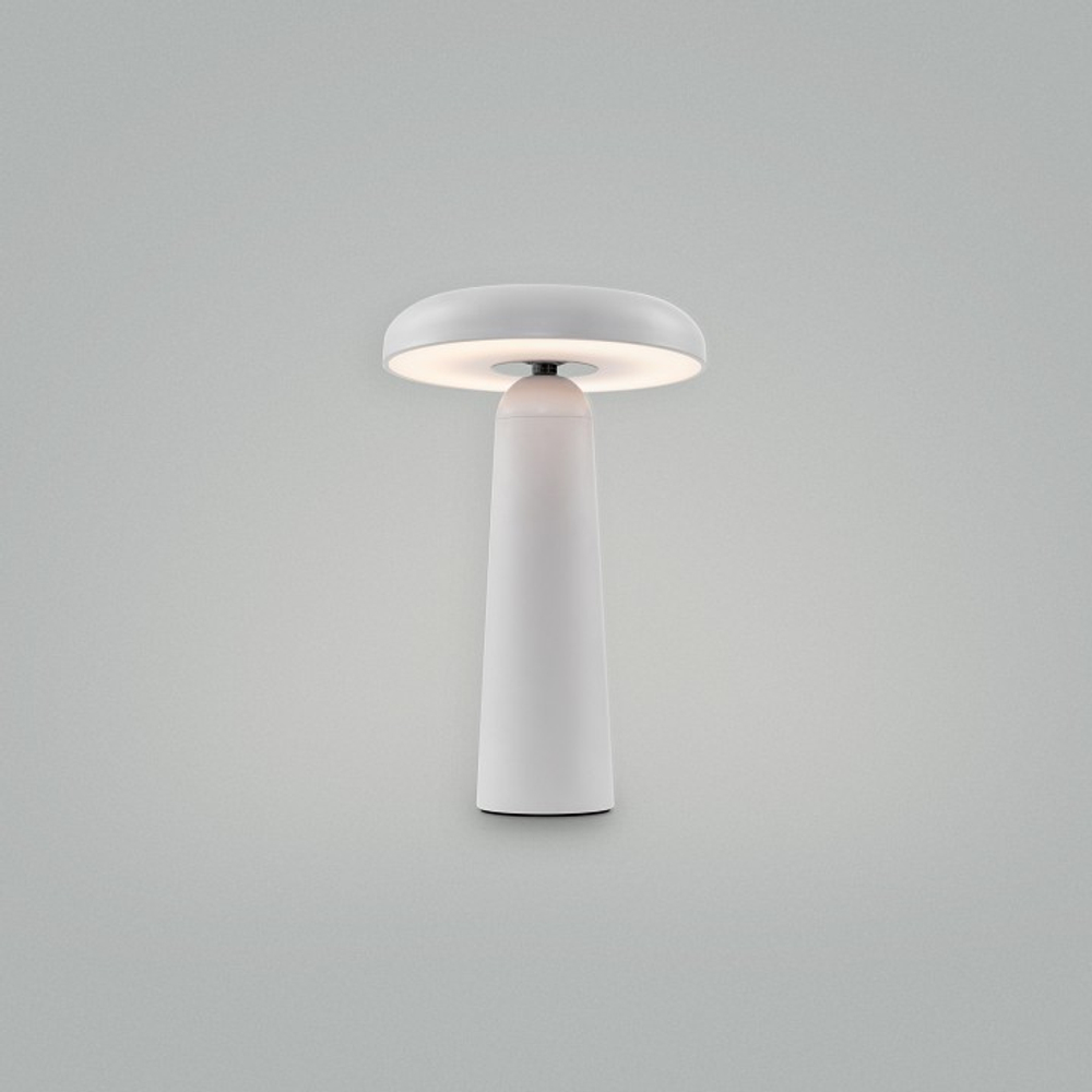 Настольная лампа декоративная Freya Mushroom FR6109TL-L4W