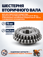Изображение ChatGPT 30 сент. 2026 г., 16_53_42