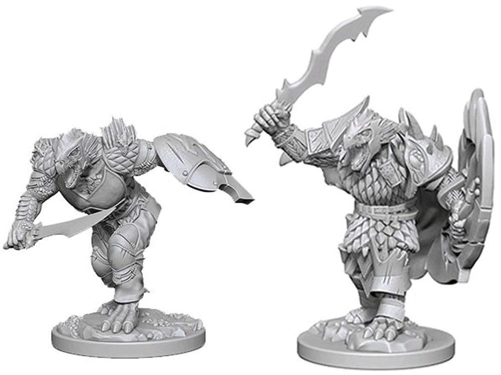 Dragonborn Male Fighter / Драконорождённые воины