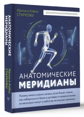 Анатомические меридианы
