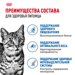 Royal Canin Indoor Sterilized Индор стерилайзд Корм влажный для стерилизованных кошек живущих в помещении соус 85г