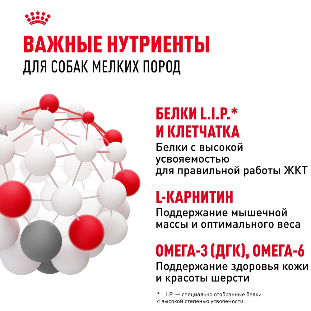Royal Canin Mini Adult Мини Эдалт Корм влажный для взрослых собак мелких пород от 10 месяцев и старше соус 85г