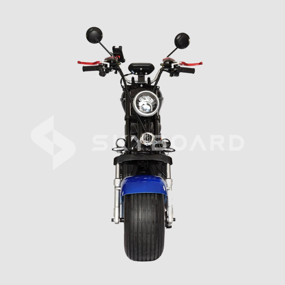 Электроскутер CityCoco SKYBOARD BR20-2WD Синий