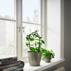 IKEA CITRONMELISS  (ИКЕА СИТРОНМЕЛИСС)  -  Крышка для цветочного горшка, закрытая/открытая/серая, 15 см