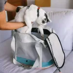 Сумка-переноска KOMBUCHA Zee.Cat