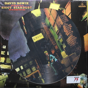 David Bowie / The Rise And Fall Of Ziggy Stardust And The Spiders From Mars (Picture Disc)(LP)