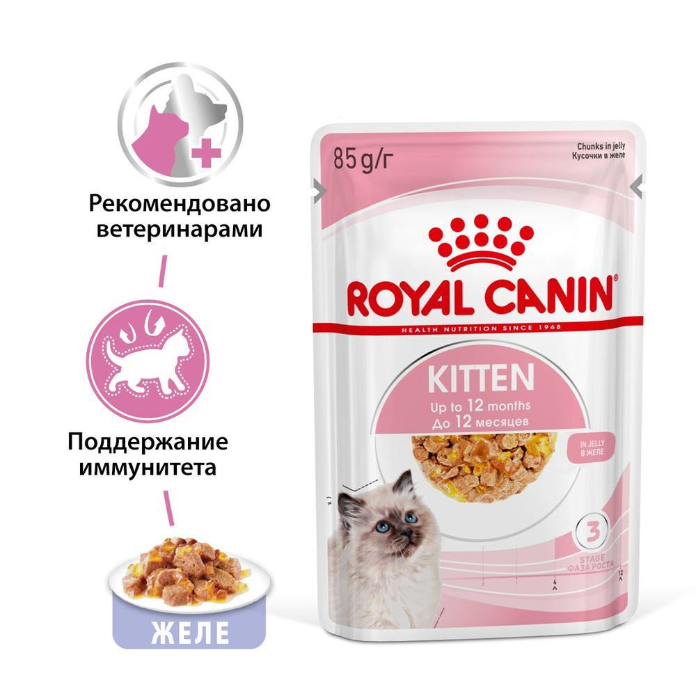 Влажный корм для котят до 12 месяцев Кусочки в желе, 85г  Royal Canin Kitten