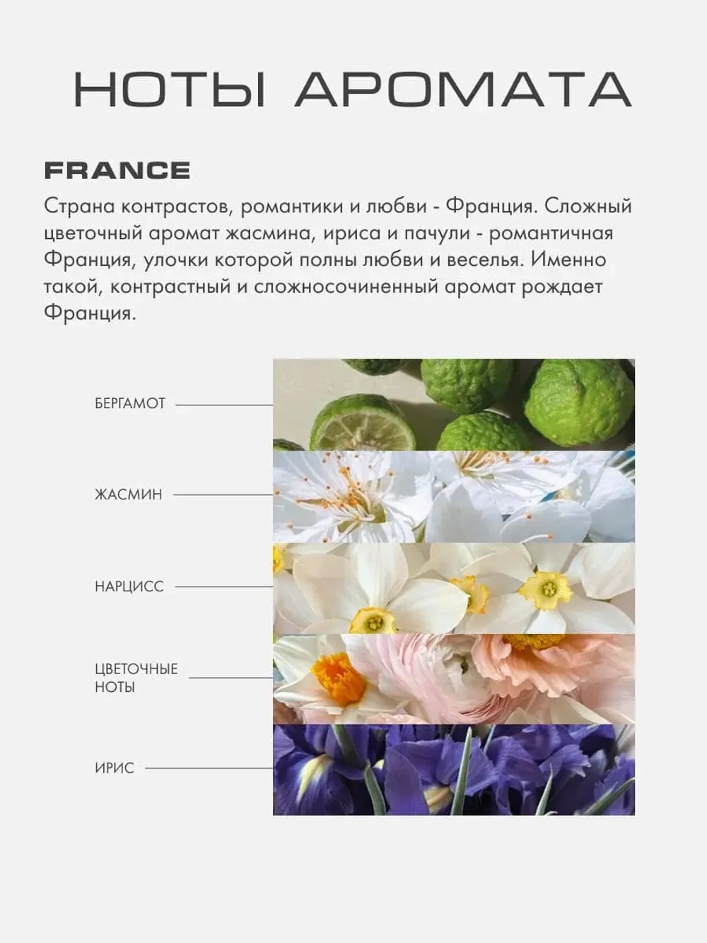 Лосьон для тела ФРАНЦИЯ (FRANCE)