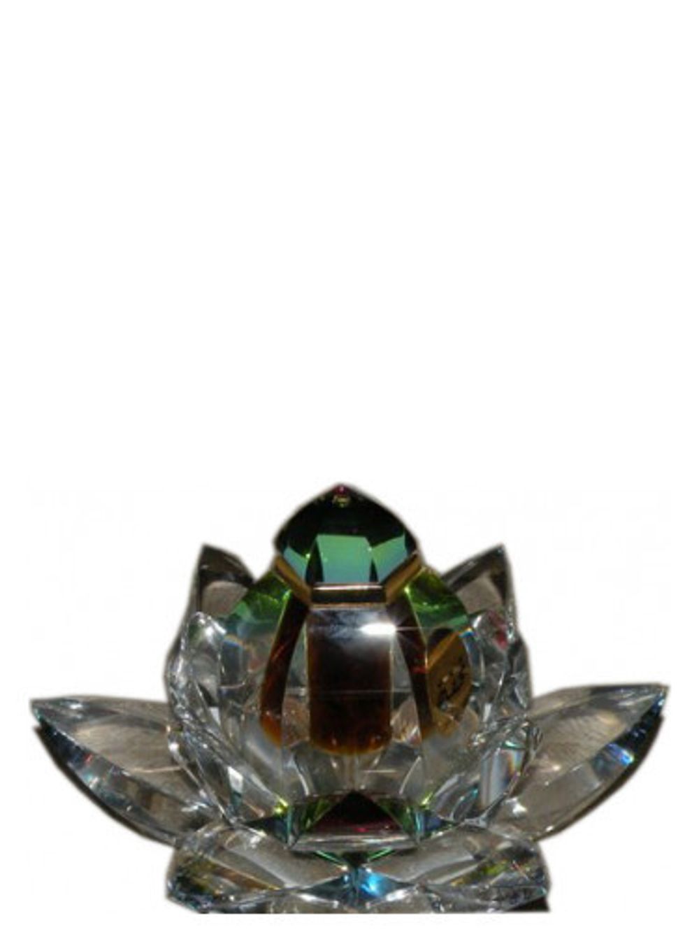Arabian Oud Tohfa