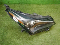 DSCN2521.jpg