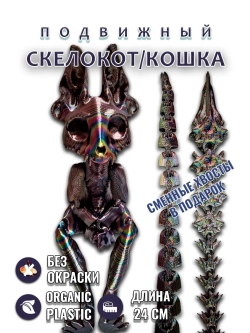 Скелет Кошки