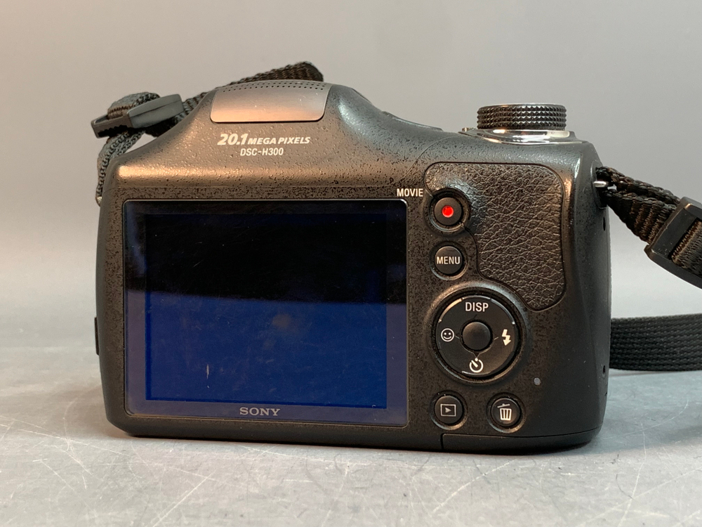 Sony DSC-H300