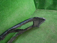 DSCN8913.JPG