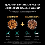 Влажный корм PRO PLAN Maintenance для взрослых кошек, с индейкой в соусе, 85 г