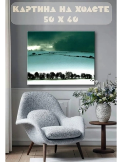 Картина на стену 40 X 50 Зимний пейзаж