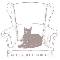 Кресло-кровать «Бариста А» (1MT) - промо