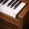 Korg Poetry M Brown
