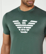 Футболка Emporio Armani - зеленый(8N1TN5 1JPZZ)