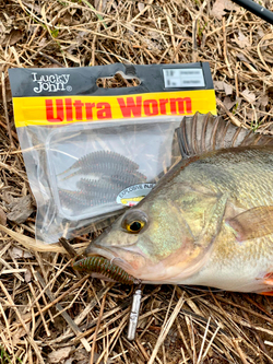 Слаги съедобные LJ Pro Series TRICK ULTRAWORM 1,4in (3,5 см), цв. PA03, 12 шт.