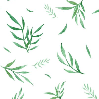 Акварельные веточки на белом фоне