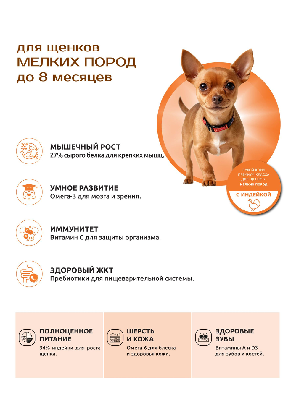 Корм сухой для щенков мелких пород, с индейкой, 3 кг, QUATTRO