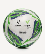 Мяч футбольный Triumph Elite YFL №5
