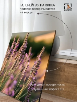 Картина Лаванда в лучах на стену 30х40см 1шт.