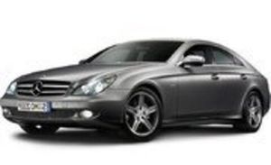 W219 (04-10)