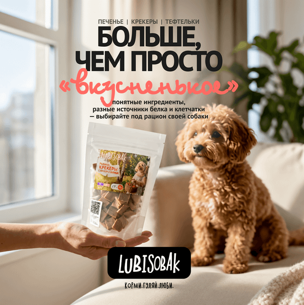 LubiSobak: полезные лакомства — не только про мясо