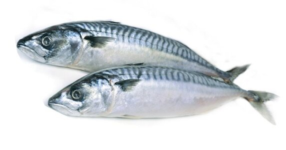 Скумбрия 400-500 1 кг