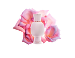BVLGARI Rose