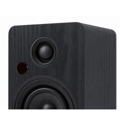 Premiera RS-301A Black — активная полочная акустическая система