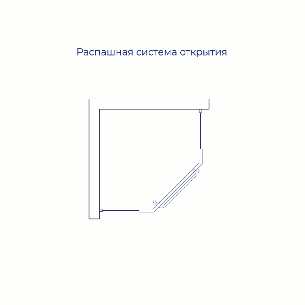 Душевой уголок RGW PA-081 (Матовое-Сатинат, 900x900)
