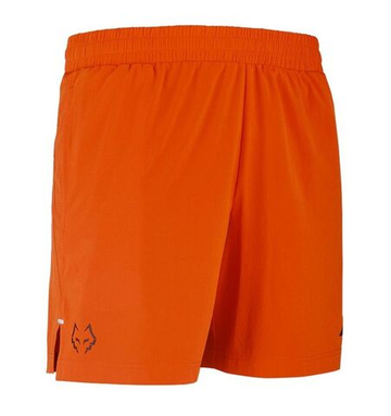 Мужские теннисные шорты Babolat J.Lebron - red orange